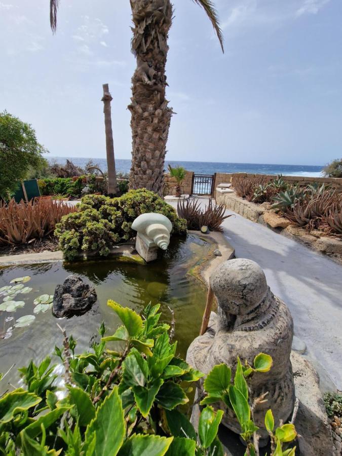 Little Paradise In El Medano Granadilla De Abona Exteriör bild