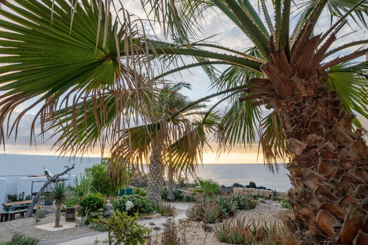 Little Paradise In El Medano Granadilla De Abona Exteriör bild